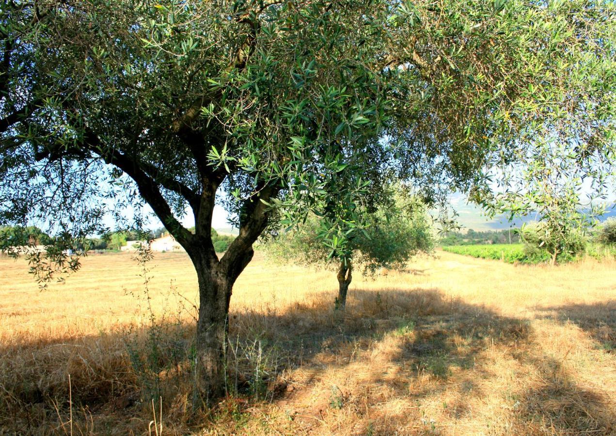 Agriturismo Da Pina Porto Conte Eksteriør billede