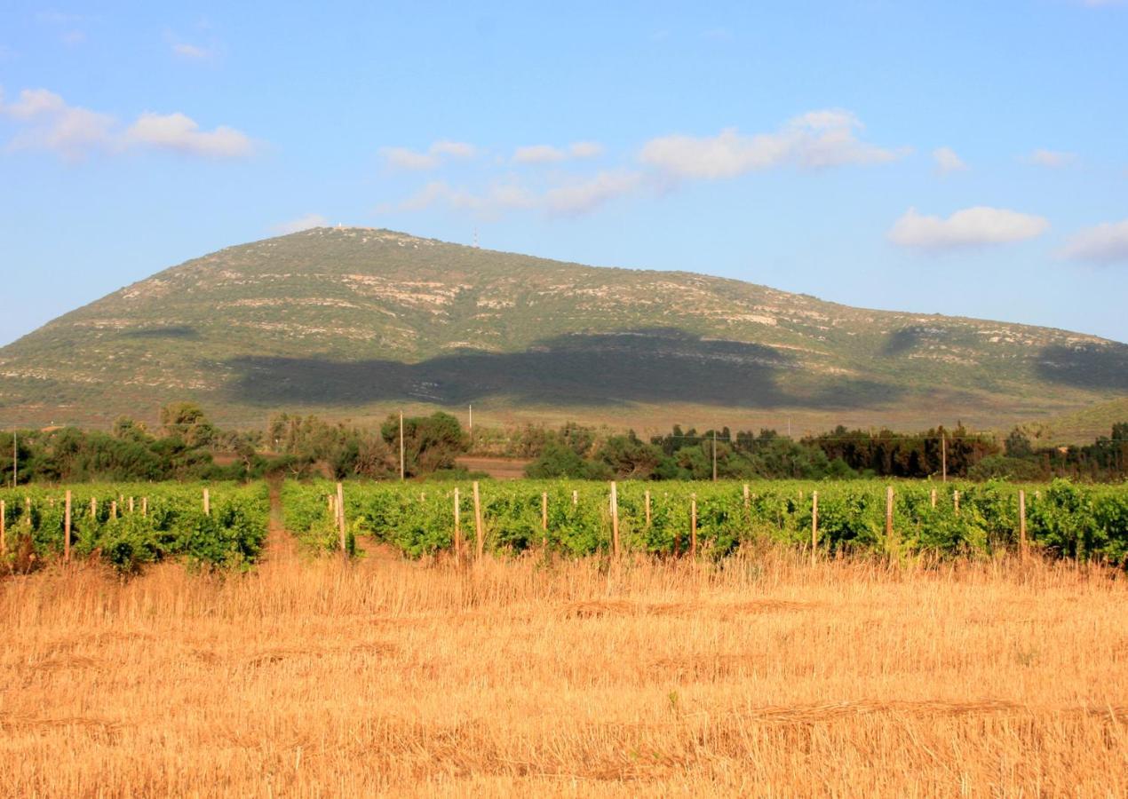 Agriturismo Da Pina Porto Conte Eksteriør billede